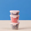 Picture of B.BOX SNACK TUB - BERRY